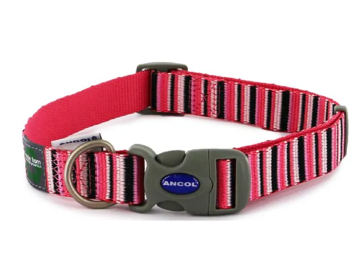 USPCA ANCOL HOT PINK CANDY STRIPE COLLAR