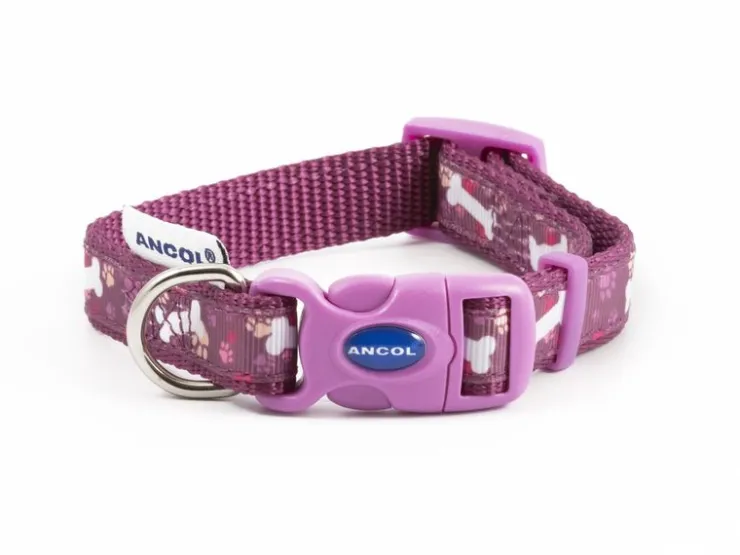 USPCA ANCOL PURPLE BONE COLLAR