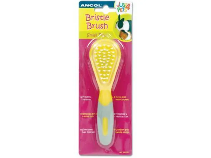 USPCA ANCOL RABBIT BRISTLE BRUSH