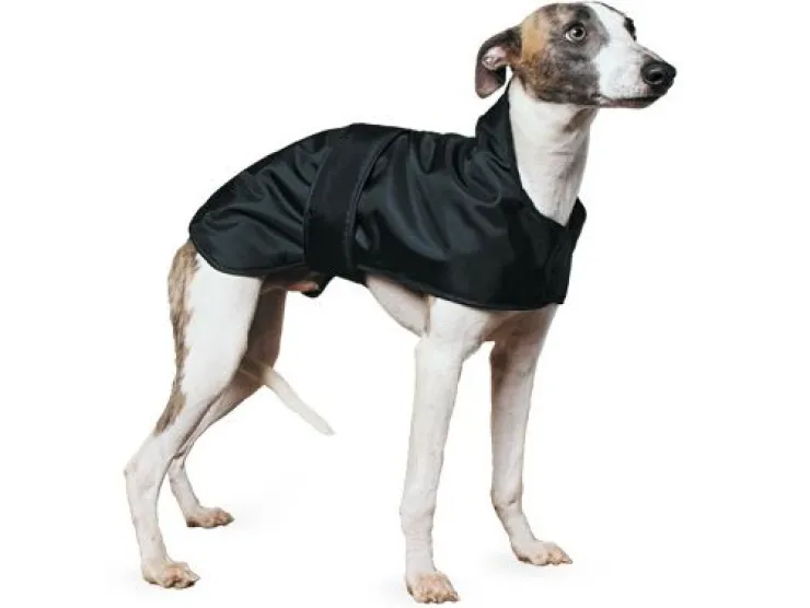 USPCA ANCOL WHIPPET THERMAL COAT