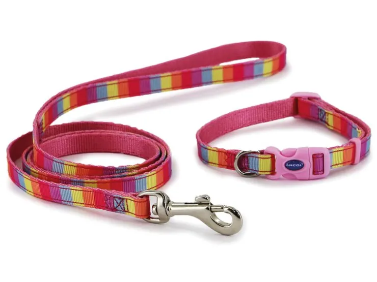 USPCA SMALL BITE RAINBOW COLLAR & LEAD SET